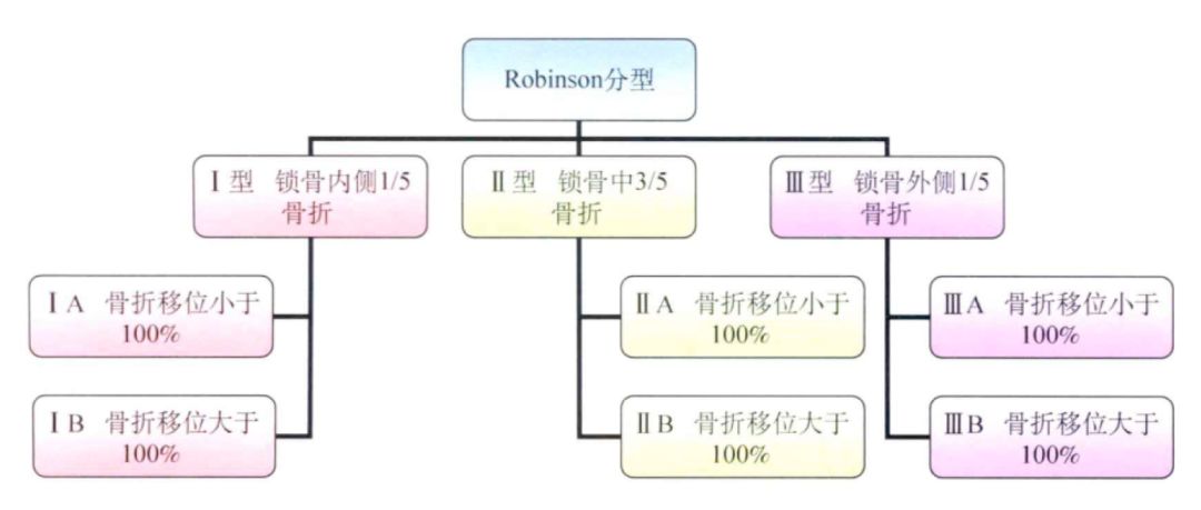 Robinson分型