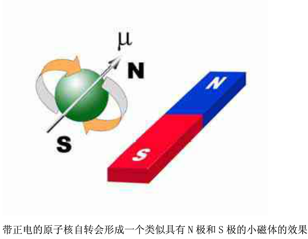 计算机生成了可选文字: 带 正 电 的 原 子 核 自 转 会 形 成 一 个 类 似 具 有 N 极 和 S 极 的 小 磁 体 的 效 果 