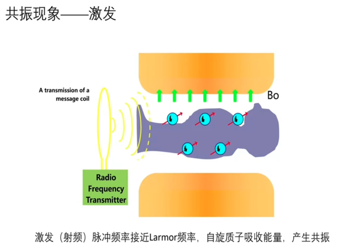 计算机生成了可选文字: 共振现象一一激发 Atransmissionofa message（ Radio Frequency Transmitte 激发（射频）脉冲频率接近Larm。r频率，自旋质子吸收能量，产生共振