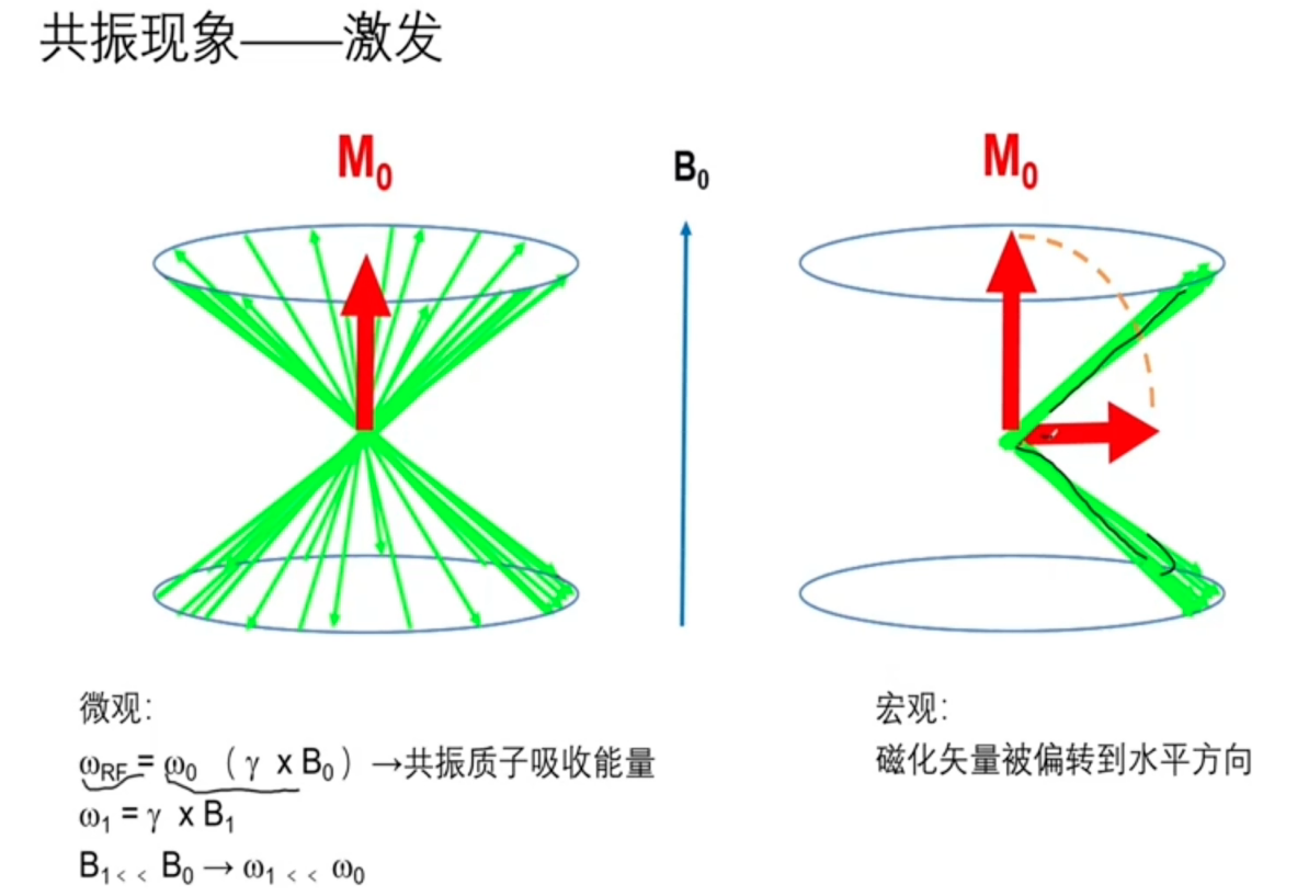 计算机生成了可选文字: 共振现象一．一激发 微观， =（7xBo）乛共振质子吸收能量 （01=7xB 1 <00 MO 宏观： 磁化矢量被偏转到水平方向
