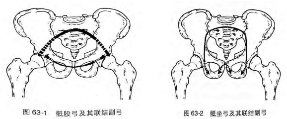 image-20200812065359516