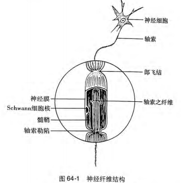 image-20200813132037710