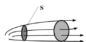 image-20201119054920098