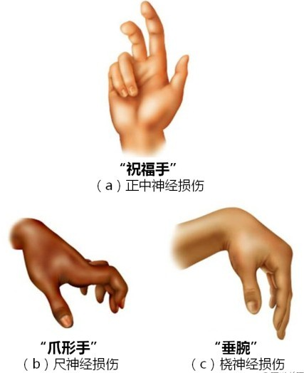 image-20210108183509842