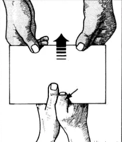 image-20210412062537400