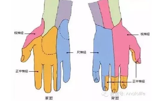 image-20210413065232372