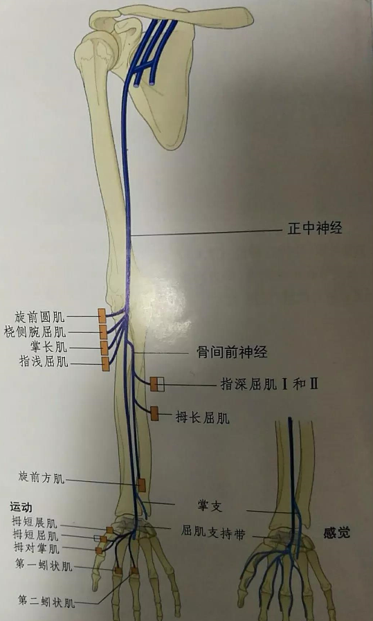 image-20210413072249838