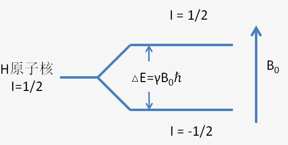 image-20220418192314000