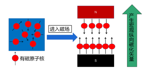 image-20220418193642869