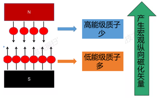 image-20220418194043783