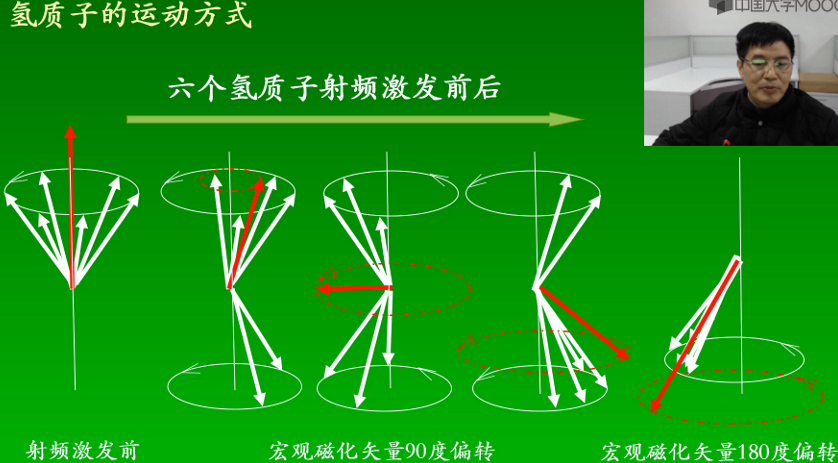 image-20220418202231359