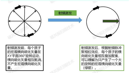 image-20220418203910009