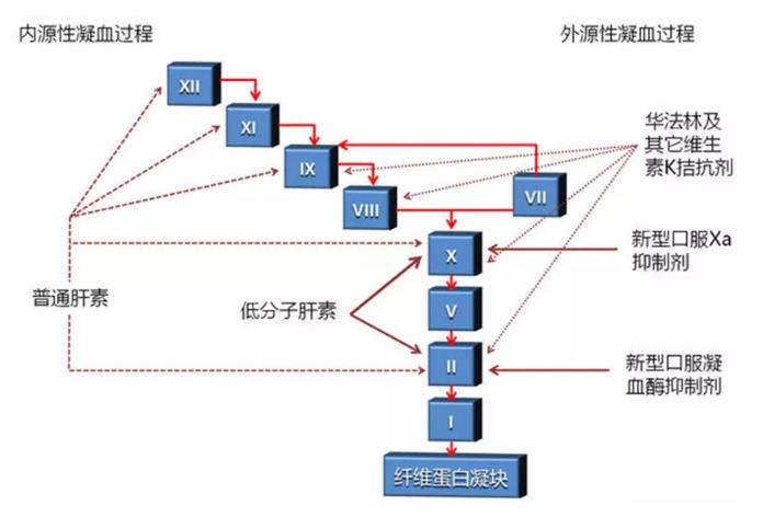 抗凝药物作用靶点