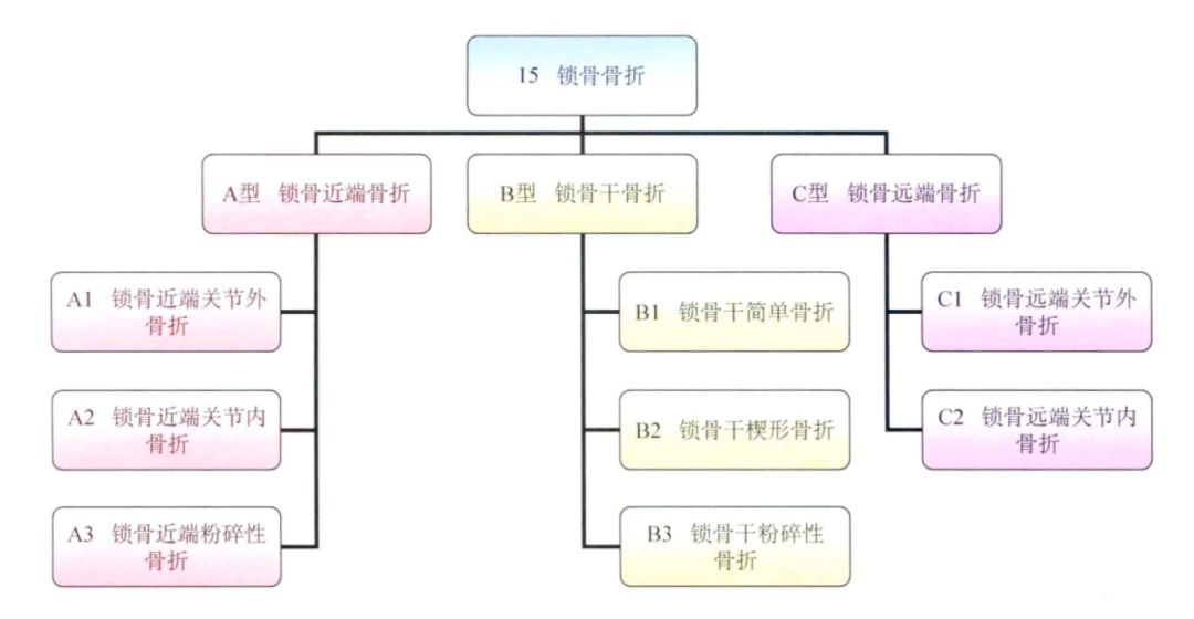 锁骨AO-OTA分型